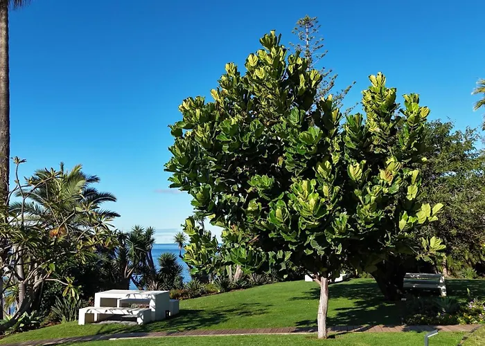 Flh Ocean View Escape At Acqua Residences Апартаменты